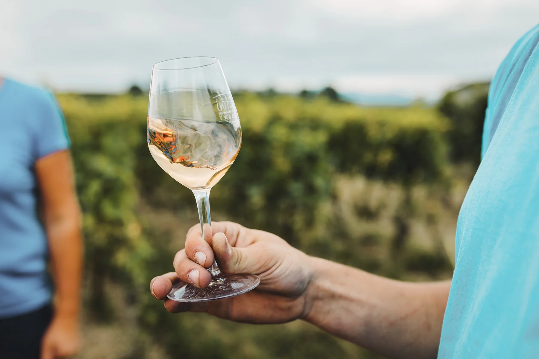 A raised glass in a Vaud wine estate during a brand moment.